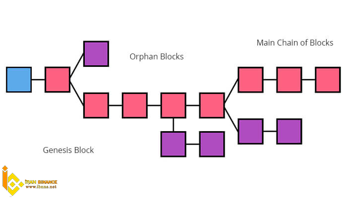 بلاک های یتیم Orphan Blocks